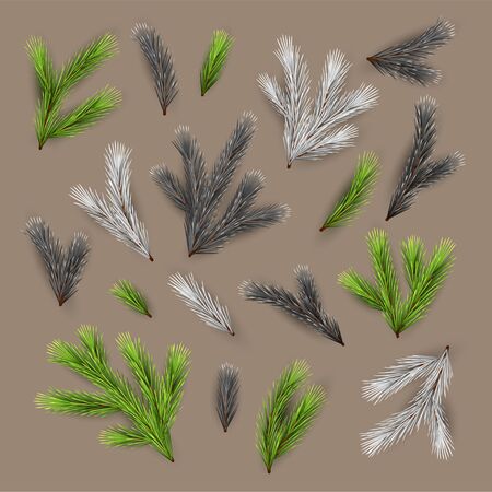 Set of Fir Branchesのイラスト素材