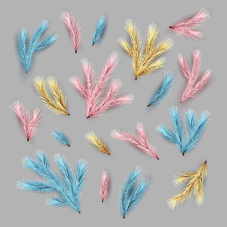 Set of Fir Branchesの写真素材