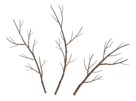 Set of Tree Branchesのイラスト素材