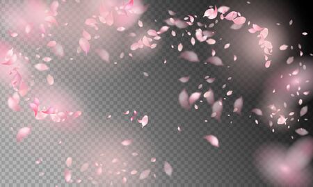 Spring Cherry Blossomの写真素材