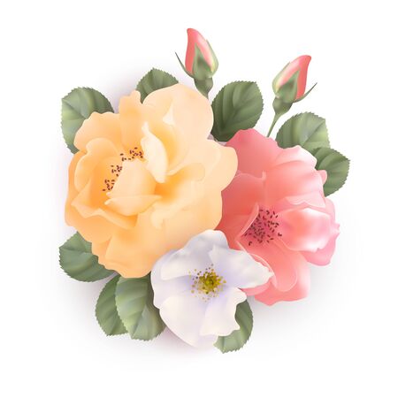 Bouquet of rosesのイラスト素材