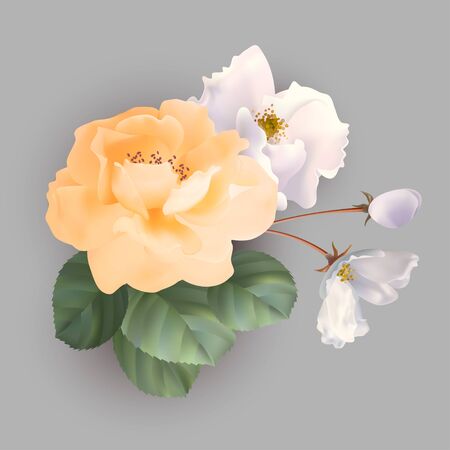 Bouquet of rosesのイラスト素材