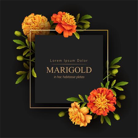 Gold frame and beautiful marigolds flowers on a black background. Retro cardのイラスト素材