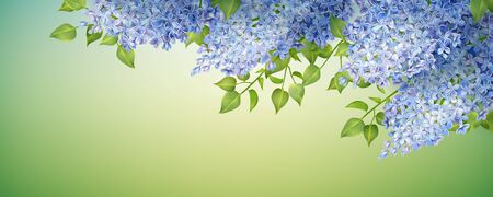 Spring Floral Backgroundの写真素材