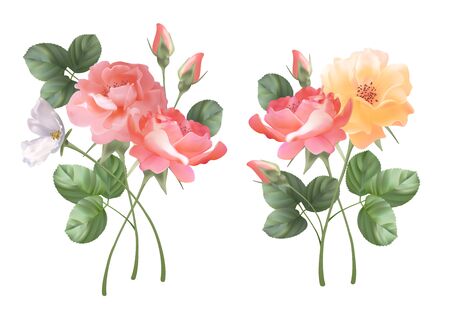 Set of flower bouquetsのイラスト素材