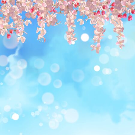 Spring Cherry Blossomのイラスト素材