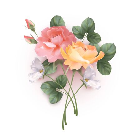 Decorative Flower Compositionのイラスト素材