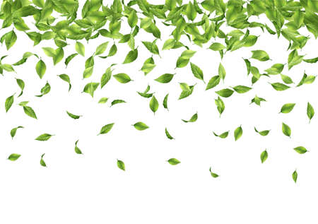 Falling green leavesのイラスト素材