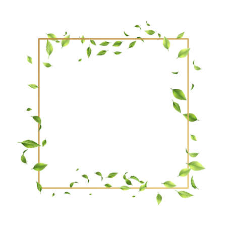 Golden frame with flying leavesのイラスト素材
