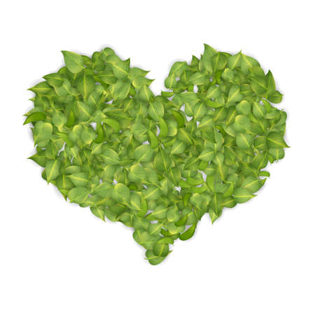 Green Leaves Heartのイラスト素材