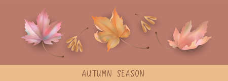 Autumn Season Bannerのイラスト素材