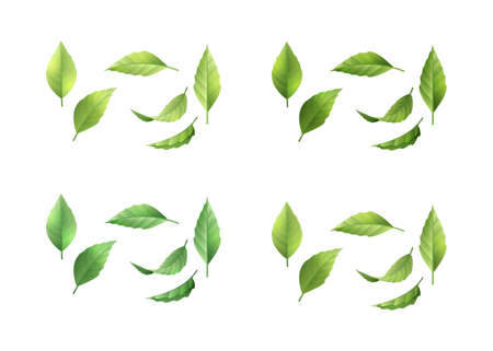Collection of green leavesのイラスト素材