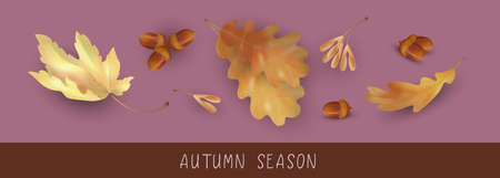 Autumn Season Bannerのイラスト素材