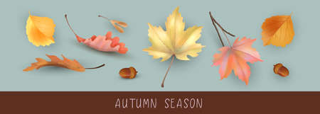 Autumn Season Bannerのイラスト素材