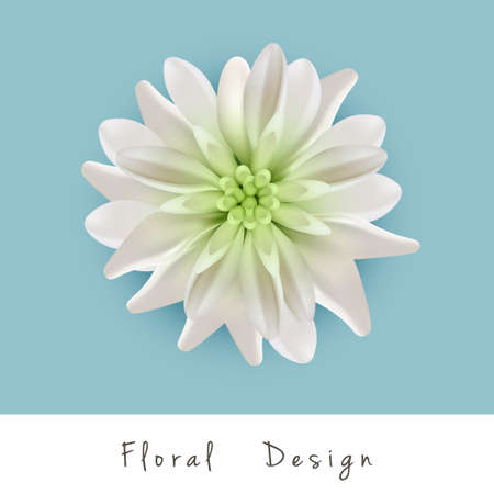 Flower Chrysanthemum Blossomのイラスト素材