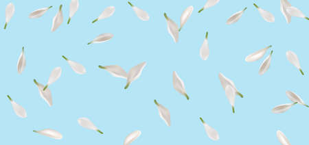 Flying White Petalsのイラスト素材
