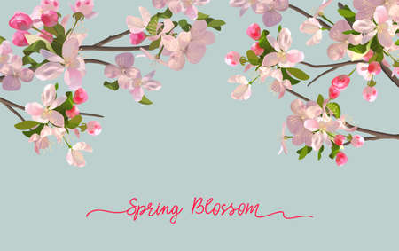 Spring Blossom Backgroundのイラスト素材