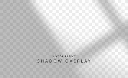 Shadow Overlay Effectのイラスト素材