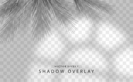 Shadow Overlay Effectのイラスト素材