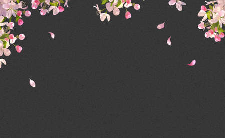 Spring Blossom Backgroundのイラスト素材