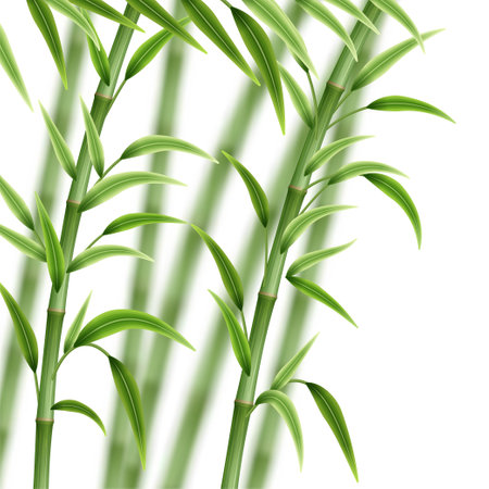 Green bamboo background. Bamboo stems, branches and leavesのイラスト素材