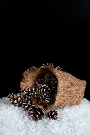 Image of the bag on the snow, spilled out of it with fir cones
の写真素材