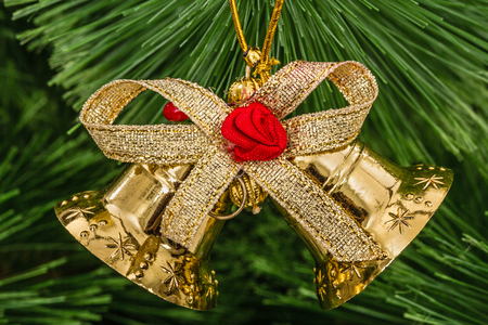 Golden christmas bell on spruce branchの写真素材