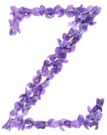 Letter Z from alphabet, from flowers of violet, isolated on white backgroundの写真素材