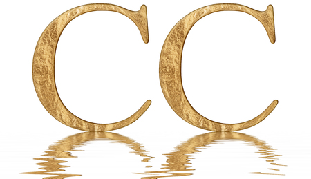 Roman numeral CC, ducenti, 200, two hundred, reflected on the water surface, isolated on  white, 3d renderの写真素材