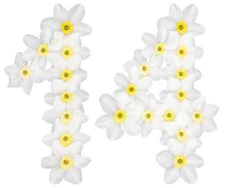 Numeral 14, fourteen, from natural white flowers of Daffodil (narcissus), isolated on white...