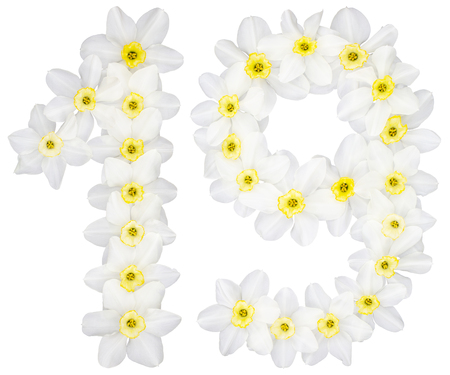 Numeral 19, nineteen, from natural white flowers of Daffodil (narcissus), isolated on white...