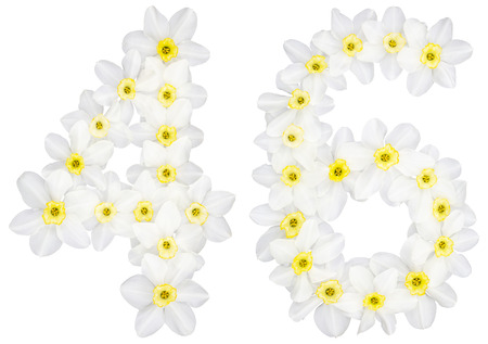Numeral 46, forty six, from natural white flowers of Daffodil (narcissus), isolated on white...