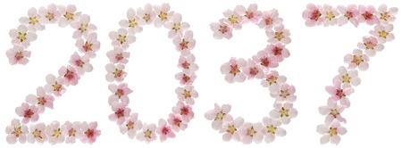 Inscription 2037, from natural pink flowers of peach tree, isolated on white background