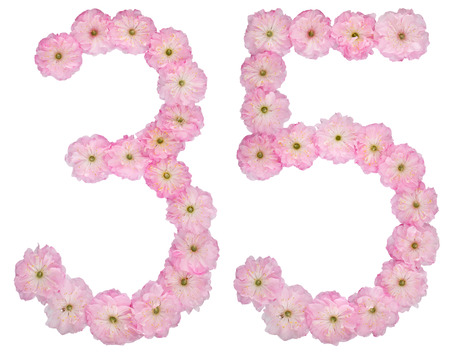 花びら5枚の写真 イラスト素材一覧 6 597件 ストックフォトのamanaimages Plus