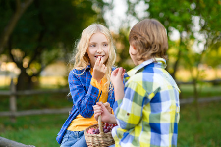 happy kids eating fruits from picnic basket sitting on fence.の写真素材