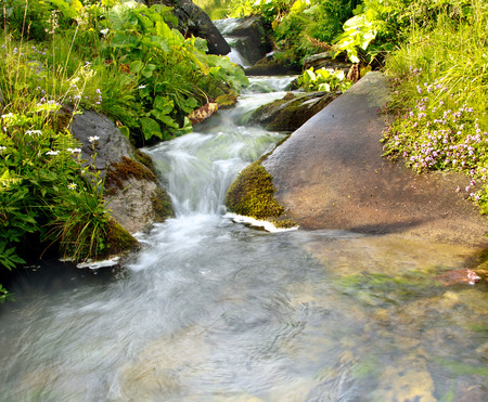 Natural mountain stream among stones and green plantsの写真素材