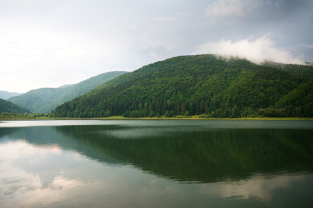 Green forest on mountain lake with mirror reflection on the background of dramatic storm cloudsの写真素材