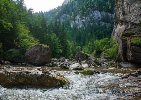 River water flow in a mountain gorge among stones and trees, Bicaz Canyon, Romaniaの写真素材