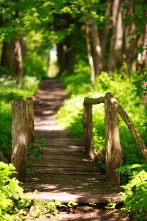 Walking trail through an old wooden bridge in a green forest park