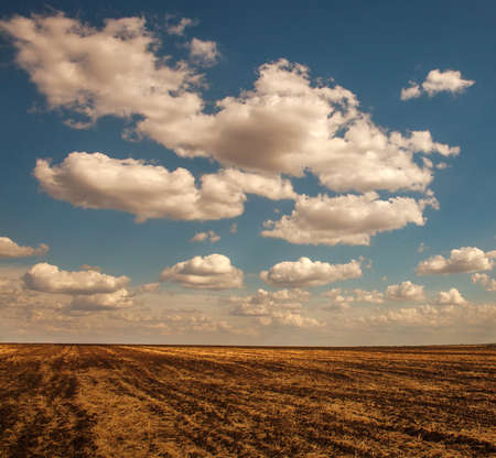 Empty plowed field of dry soil on the background of the sky with cloudsの写真素材