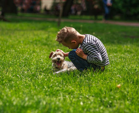 Little boy playing with a dog on the green lawn of the city park