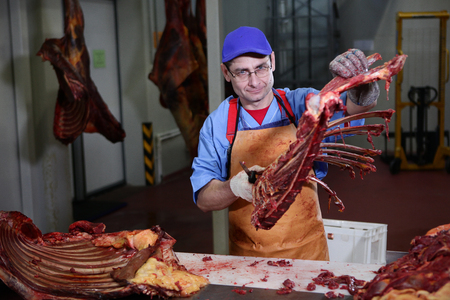 A slaughterhouse worker chops a horse carcass into portions. Making meat for further processing. Heavy labor at work. Protective clothing.の写真素材