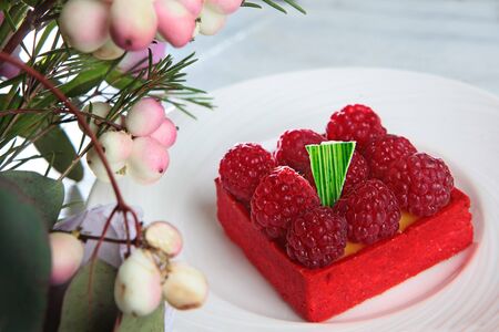 Raspberry cake on a white plate. Photos in the interior without people. Copy space.Top view.