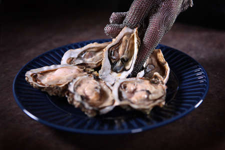 Blue plate with open fresh oysters. A gloved hand puts an oyster on a plate. Unrecognizable photo.の写真素材