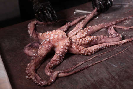 A whole boiled octopus carcass on the table. Close up. The cooking of the octopus. Top view. Copy...