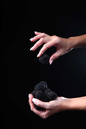 A handful of black truffles in the hands of a woman. Exquisite and fragrant mushroom. Unrecognizable person. Dark background. To close. Copy space. Vertical photo.の写真素材
