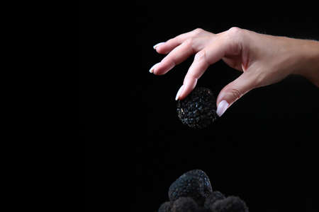 Black truffle in the woman's hand. Exquisite and fragrant mushroom. Unrecognizable person. Dark background. Close up. Copy space.の写真素材