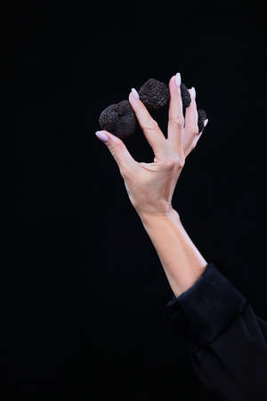 Black truffle in the woman's hand. Exquisite and fragrant mushroom. Unrecognizable person. Dark...