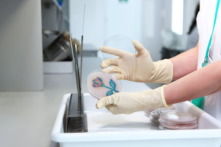 Containers with biological crops in the hands of a laboratory assistant. Crops in the form of a...
