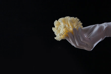 Hand in a white glove holds tete de moine cheese. The cheese is cut into thin shavings. Photo on a black background. With copy space.の写真素材